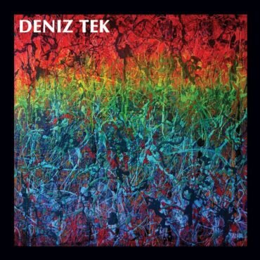 Deniz Tek - MEAN OLD TWISTER vinyl record