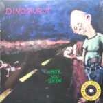 Dinosaur Jr Where You Been: Deluxe Expanded Edition