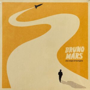 Bruno Mars - Doo-Wops & Hooligans vinyl record [vinyl LP]