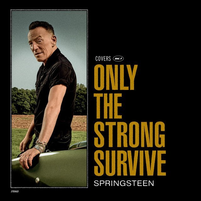Bruce Springsteen - ONLY THE STRONG SURVIVE vinyl record