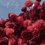 Trinity - LIFE vinyl record