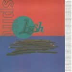 Lush Split