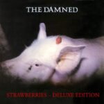 DAMNED, THE - STRAWBERRIES