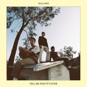 Wallows - TELL ME THAT IT'S OVER vinyl record