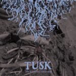 Tusk - THE RESISTING DREAMER vinyl record