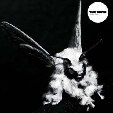 The Moth - They Fall