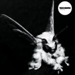 The Moth - THEY FALL vinyl record