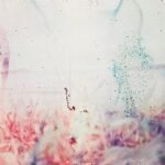 Pluralone - TO BE ONE WITH YOU vinyl record