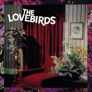 The Love-Birds