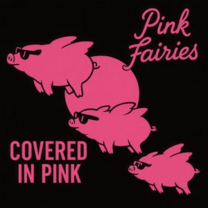 Pink Fairies