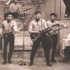 LOS SAICOS - DEMOLICION! THE COMPLETE RECORDINGS vinyl record album art