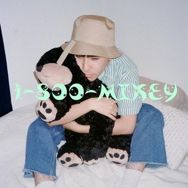 1-800 Mikey - Plushy vinyl record album art
