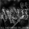 Assault & Battery - All The Shades Of Truth vinyl record album art