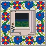 Boytoy - Night Leaf vinyl record album art