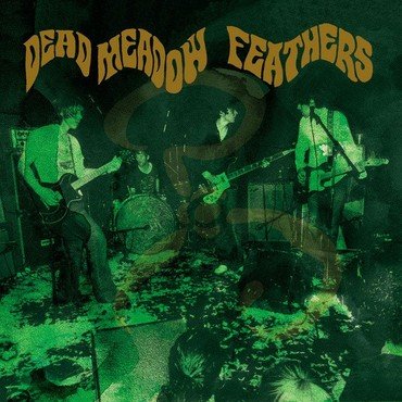 Dead Meadow - Feathers (Deluxe Edition) vinyl record album art