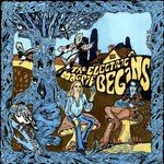 Electric Magpie Begins