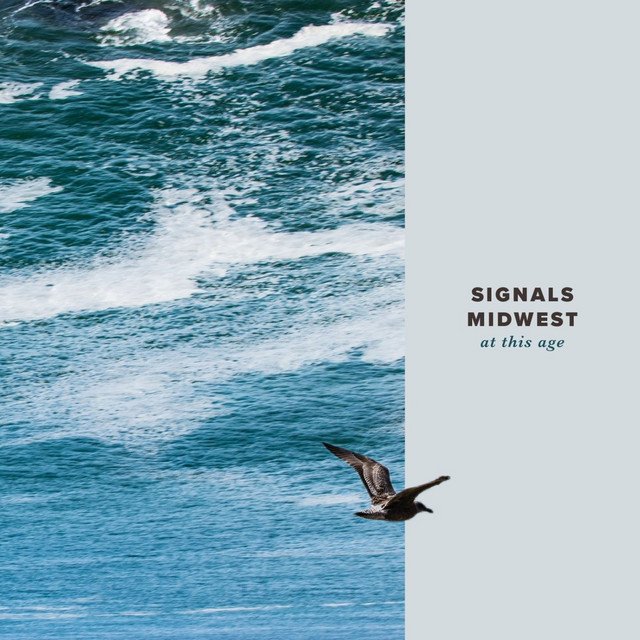 Signals Midwest\/Worship This! - Split (Red Vinyl) vinyl record album art