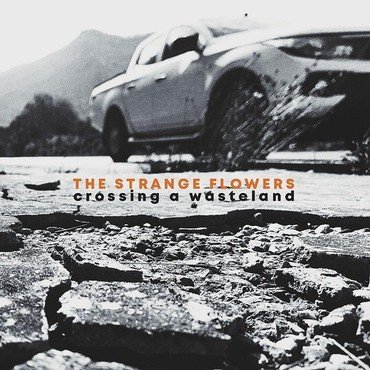 The Strange Flowers - Crossing A Wasteland vinyl record album art