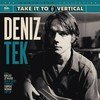 Deniz Tek - Take It To The Vertical: Deniz Tek vinyl record album art