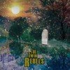 The Twin Rebels - There Was A Summer vinyl record album art
