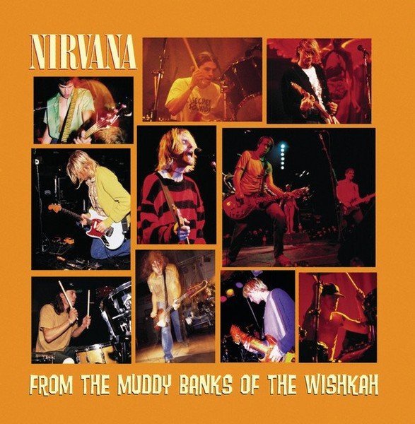 NIRVANA - FROM THE MUDDY BANKS OF THE WISHKAH vinyl record album art