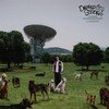 Depresion Sonora - Los Perros No Entienden Internet (G vinyl record album art