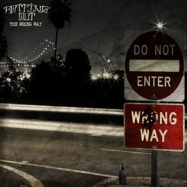 Rotting Out - The Wrong Way vinyl record album art