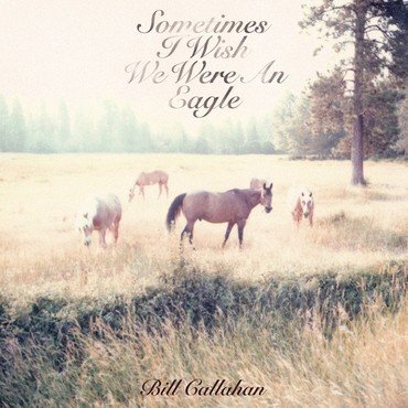 CALLAHAN, BILL - SOMETIMES I WISH WE WERE AN EAGLE vinyl record album art