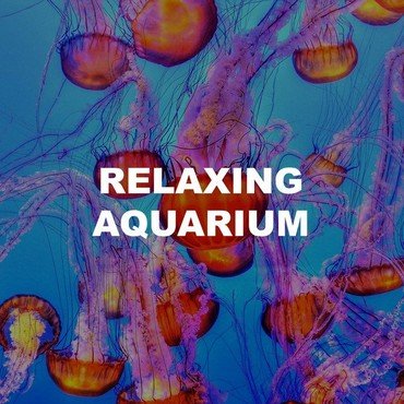 Aquarium - Aquarium vinyl record album art