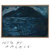Mount Eerie - NIGHT PALACE vinyl record album art