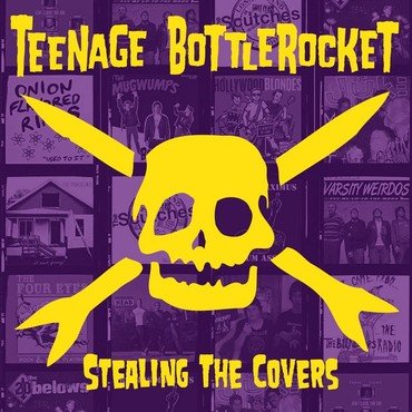 TEENAGE BOTTLEROCKET - STEALING THE COVERS vinyl record album art
