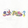 Slippers - Slippers 08 vinyl record album art