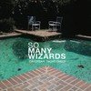 So Many Wizards - DAYDREAM vinyl record album art