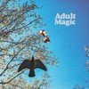 Adult Magic Adult Magic