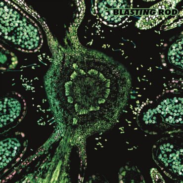 Blasting Rod - OF WILD HAZEL (SWIRL) vinyl record album art