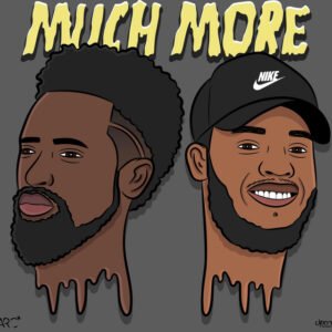 The/King Flamingo Thingz